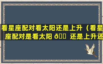 看星座配对看太阳还是上升（看星座配对是看太阳 🐠 还是上升还是月亮）